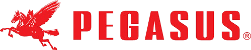 Logo Pegasus