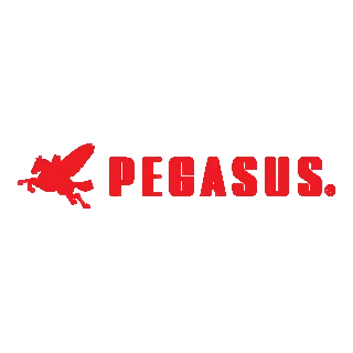 Logo Pegasus